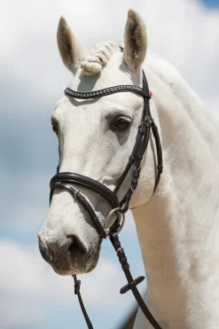 Clearance kieffer Ultrasoft® Fashion Suitset Black