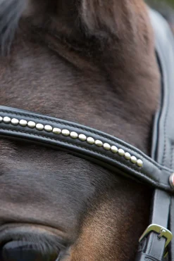 kieffer Ultrasoft® Suitset Black/Black