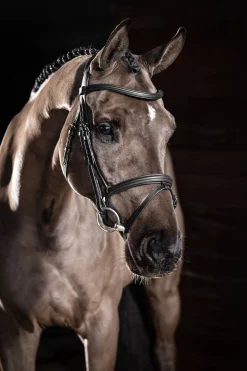 Sale lemieux Arika Suitset Kaksoisturpahihnalla Black/Silver