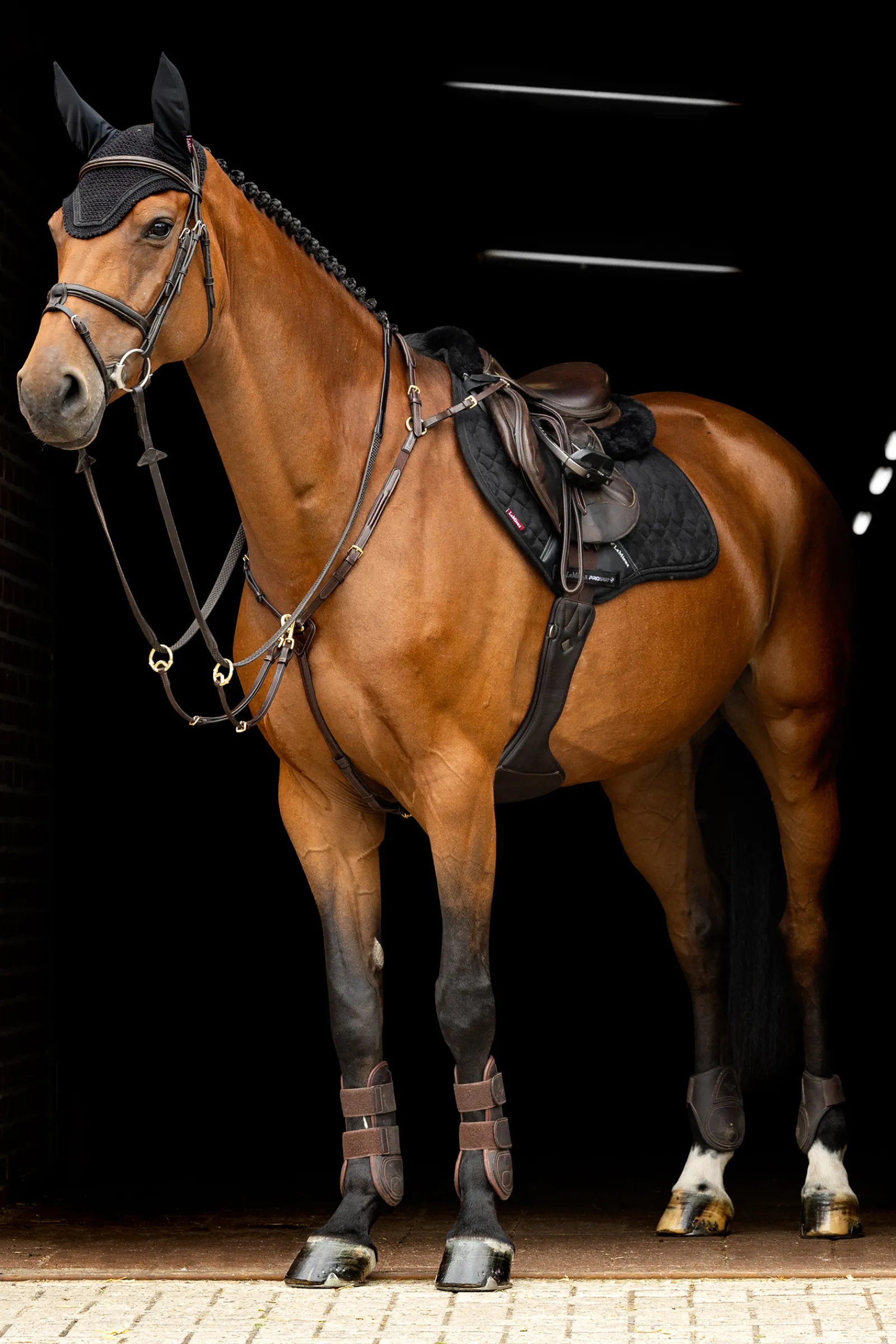 Sale lemieux Chrystal Karpashuppu Black