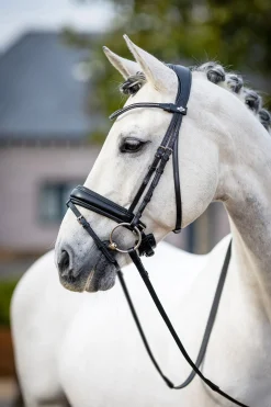 New lemieux Classic Dressage Bridle Black