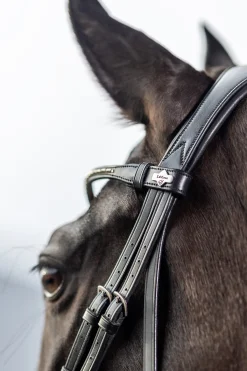 New lemieux Classic Dressage Bridle Black
