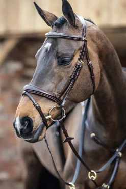 Outlet lemieux Competiton Flash Bridle Havana Brown