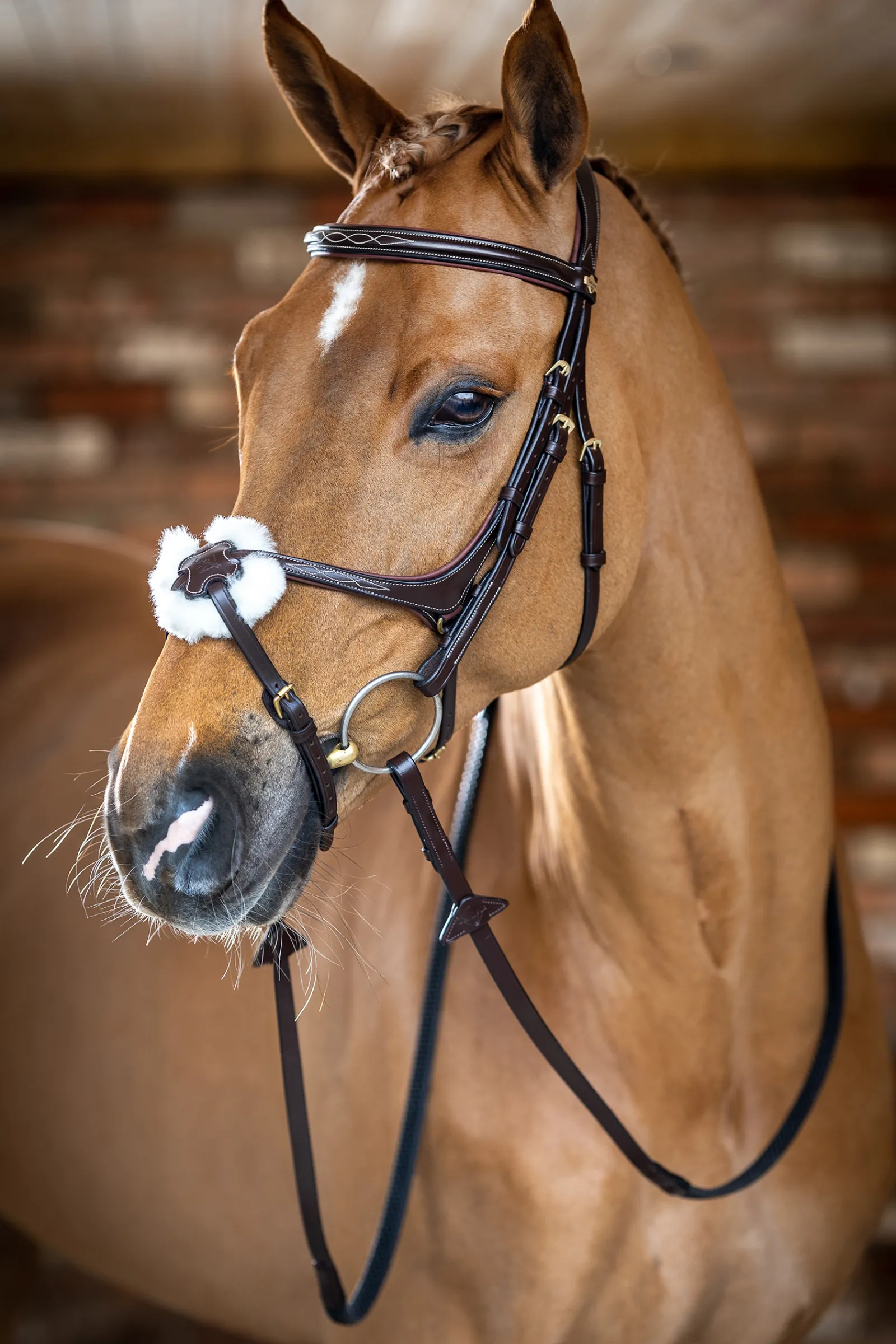Outlet lemieux Grackle Bridle Havana Brown