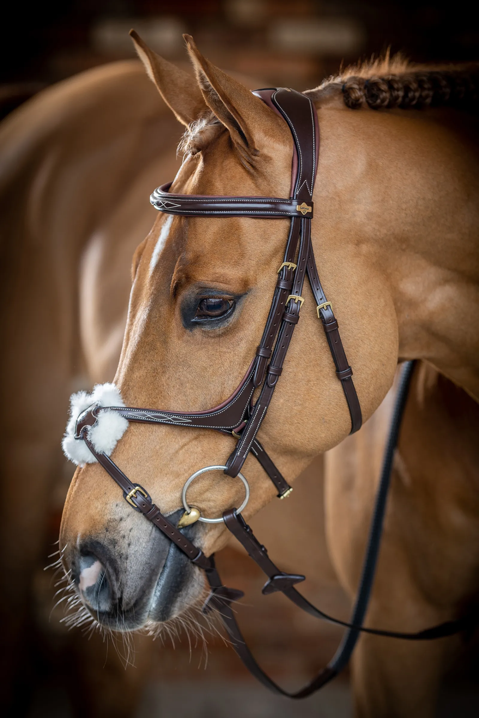 Outlet lemieux Grackle Bridle Havana Brown