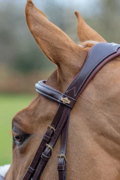 Outlet lemieux Grackle Bridle Havana Brown