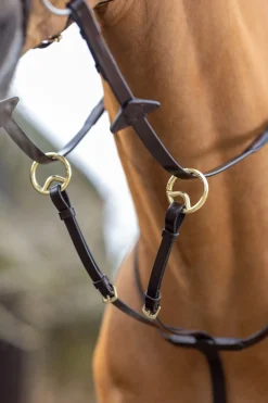 Sale lemieux Running Martingale Brown
