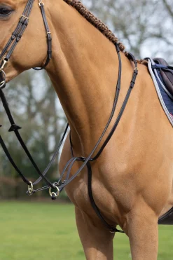 Sale lemieux Running Martingale Brown