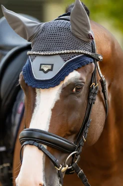 Best lemieux Twilight Browband Black