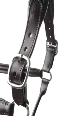 mountainhorse Mountain Horse Mindy Sadetakki