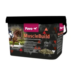Online pavo Muscle Build, 3 Kg Ei Maaritelty