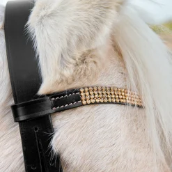 New * -Ponisuitset Musta/Kulta