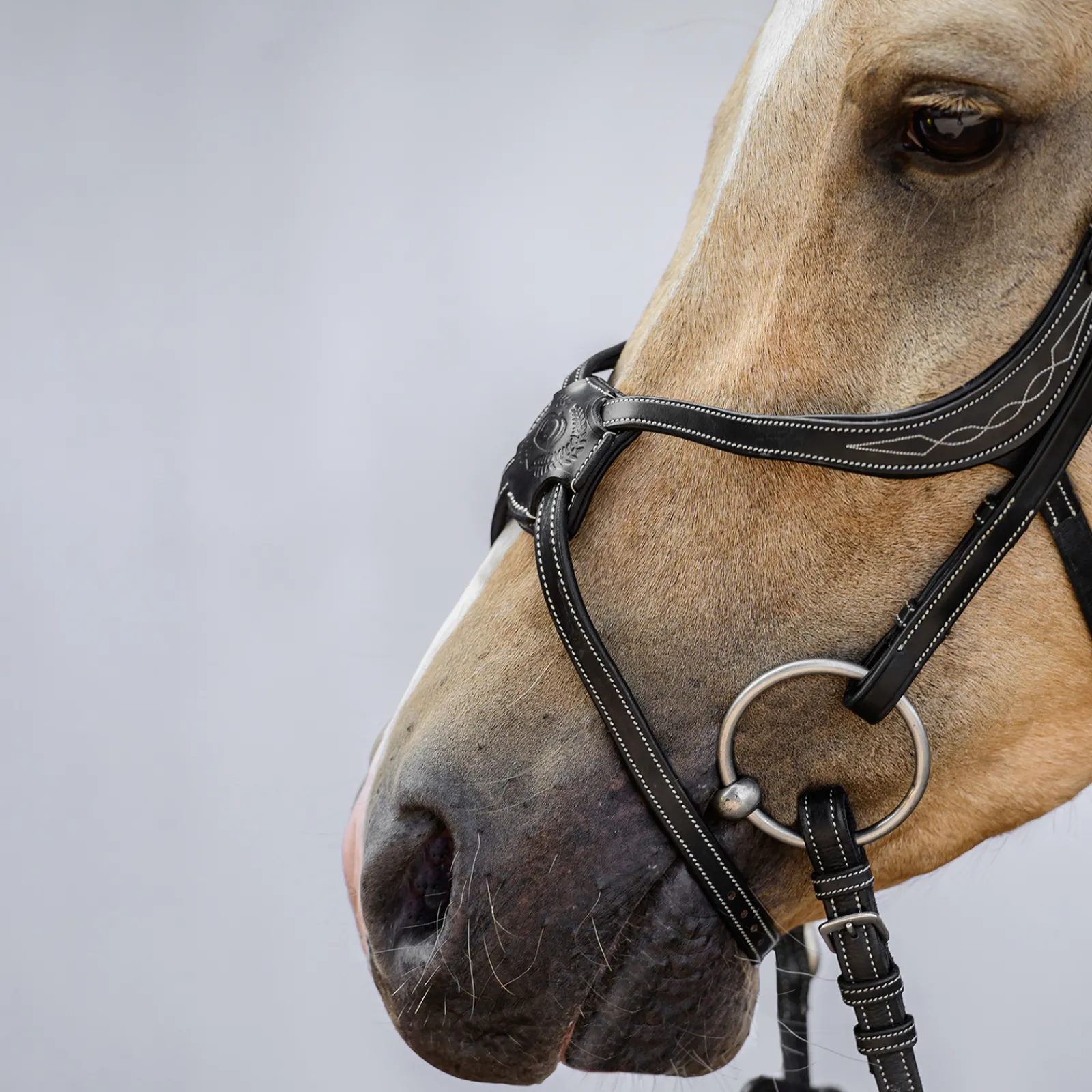 Clearance psofsweden Ps Of Sweden Athens Meksikolaiset Suitset Black