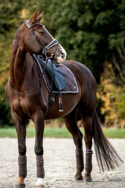 Outlet psofsweden Ps Of Sweden Cotton Signature Dressage Saddle Pad Coffee Liqueur