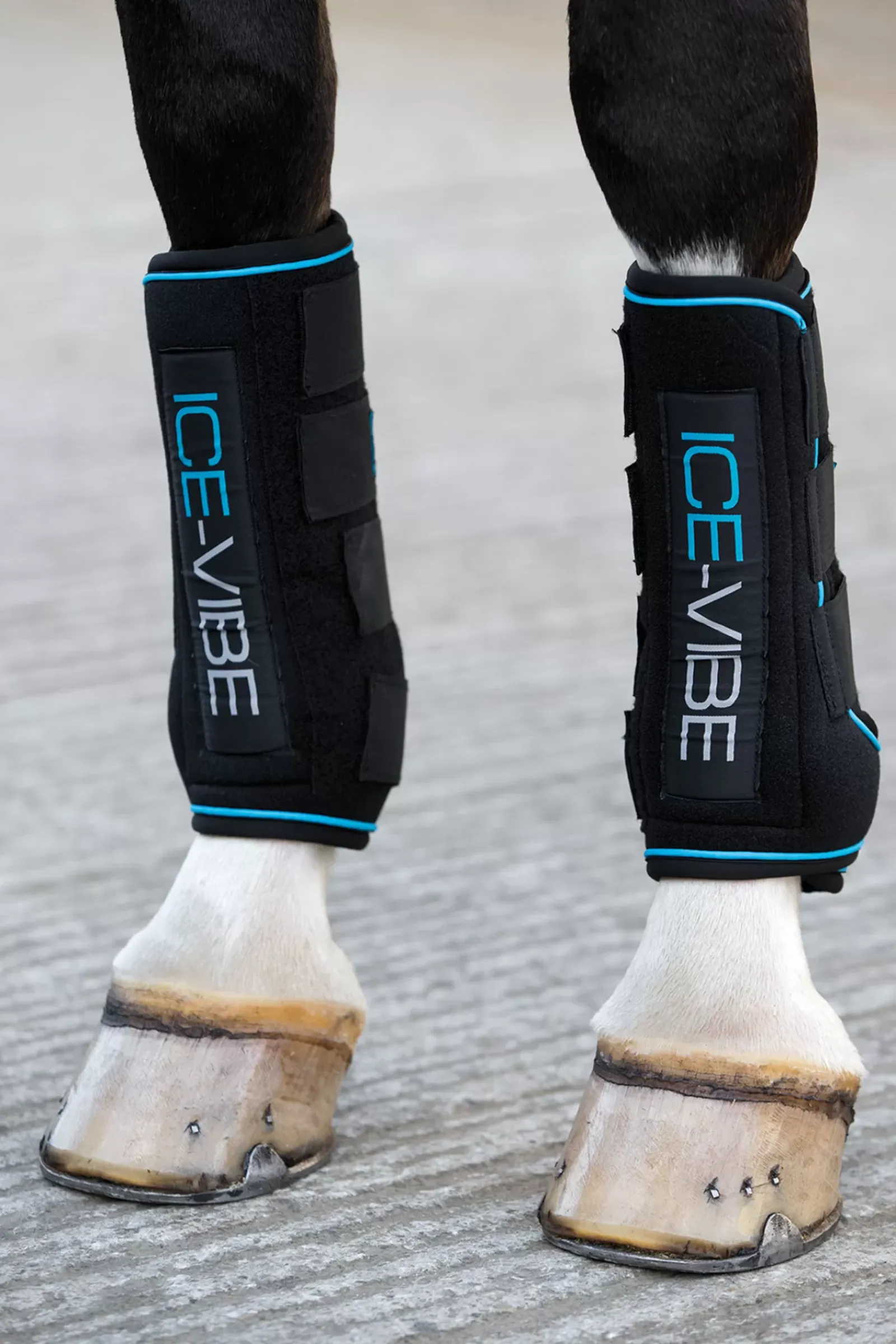 roeckl Torino Kasineet