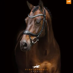 Outlet schockemohle Equitus Beta Special -Suitset Black/Silver