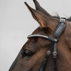 Hot schockemohle Equitus Rho Niskahihna Black/Silver