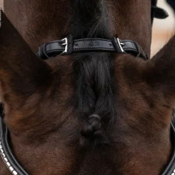 Hot schockemohle Equitus Rho Niskahihna Black/Silver