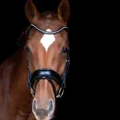 Outlet schockemohle Stanford Premium Anatomisesti Muotoillut Suitset Black/Silver