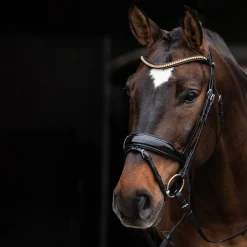 schockemohle Stanton Select Suitset Patent Black/ Orange/ Silver