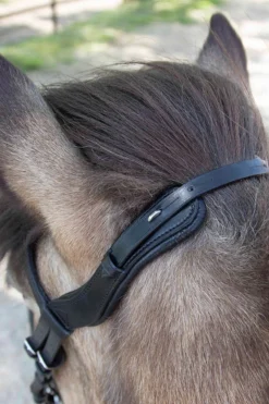 Clearance waldhausen Anatomical Icelandic Bridle Black