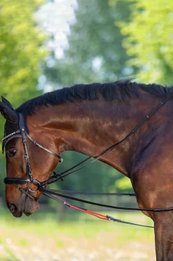 Discount waldhausen Wtrainrein Black