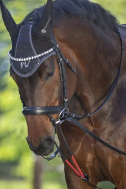 Discount waldhausen Wtrainrein Black