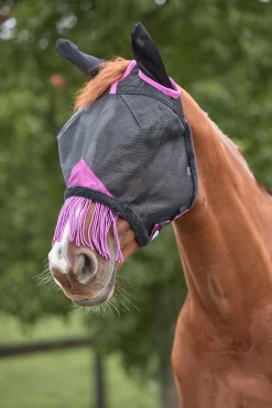 Online weatherbeeta Comfitec Deluxe Durable Mesh Maski Korvilla Ja Hapsuilla Black/Purple