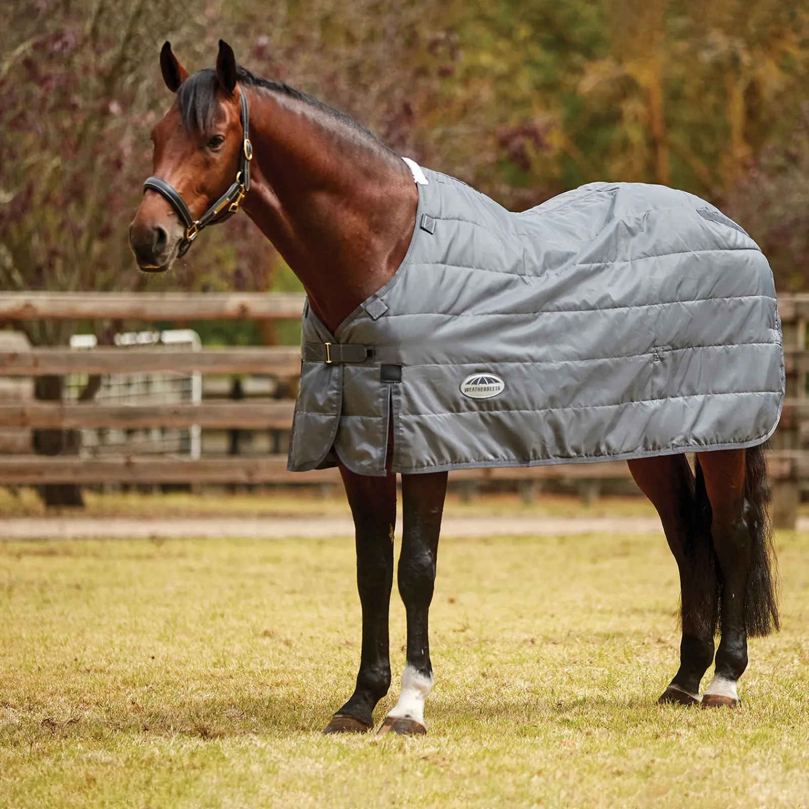 Clearance weatherbeeta Comfitec Paksu Alusloimi 210D, 330 G Grey