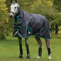 Online weatherbeeta Comfitec Plus Dynamic Ii Combo Ulkoloimi Kaulakappaleella, 100 G Black/Aqua Blue