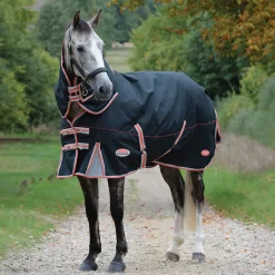 Best weatherbeeta Comfitec Premier Therapy-Tec Ulkoloimi Irrotettavalla Kaulakappaleella, 220 G Black/Silver/Red