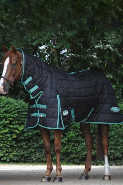 Best weatherbeeta Green-Tec Talliloimi Kiintealla Kaulakappaleella, 150 G Black/Bottle Green